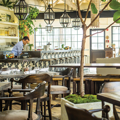 Gracias Madre Restaurant Photo Gracias Madre Restaurant Photo