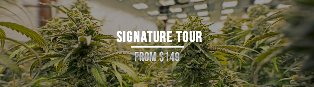 Signature Tour: From $149 Signature Tour: From $149